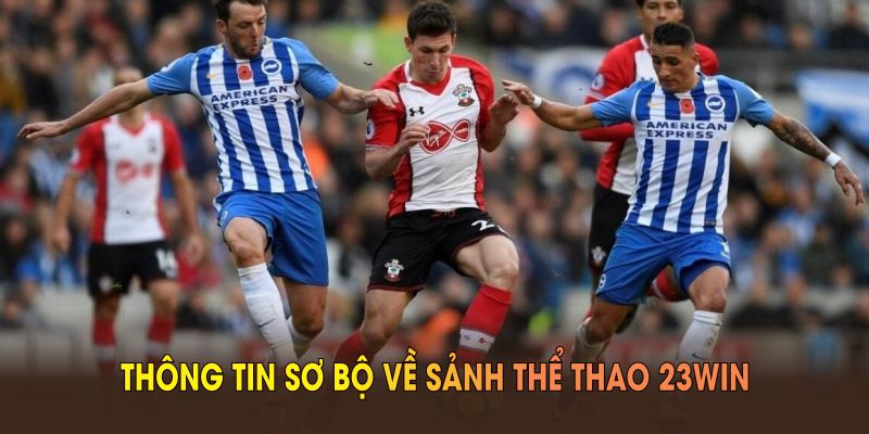 Tổng hợp thông tin sơ bộ về sảnh thể thao 23WIN