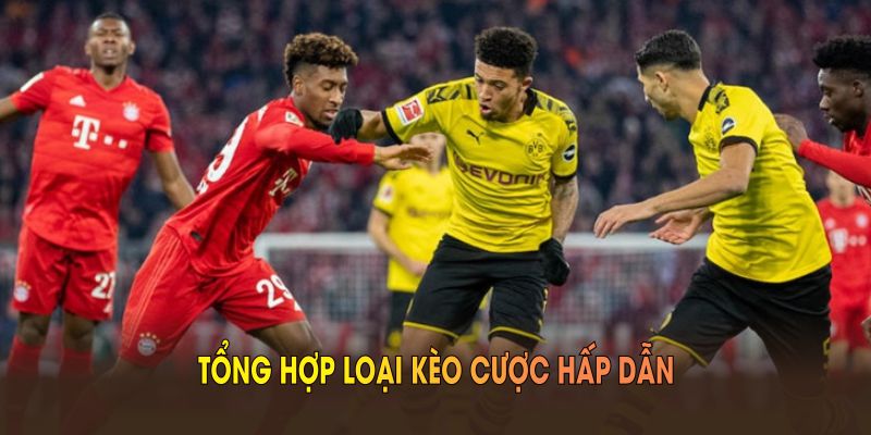 Tổng hợp loại kèo cược hấp dẫn trong thể thao 23WIN